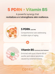 COSRX 5 PDRN B5 Vital Soothing Toner